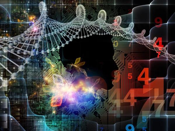 The Role of 5G Networks in Advancing Smart Cities